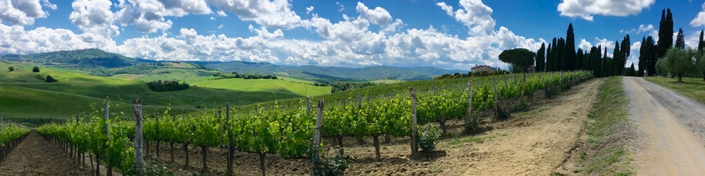 Stacks Image p1943_n5